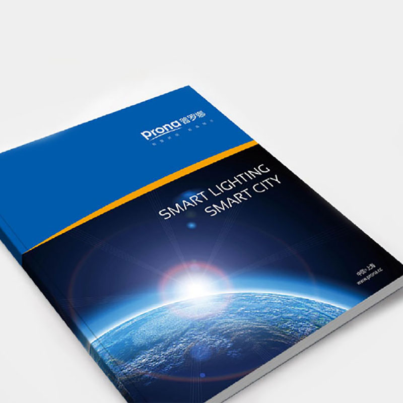 普羅娜營銷策劃畫冊設計