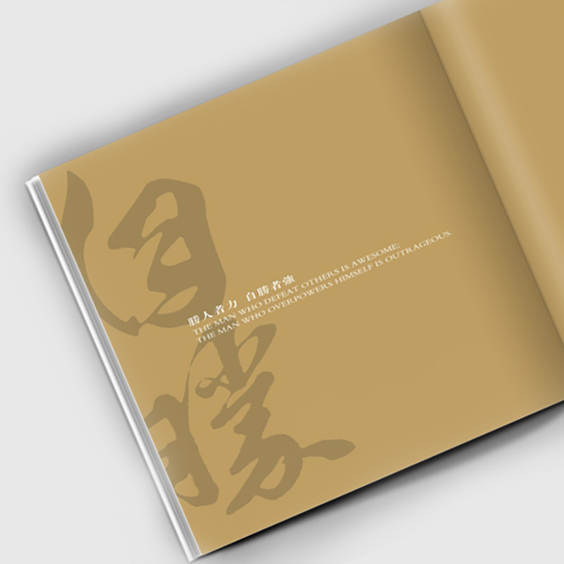 國泰華集團營銷策劃