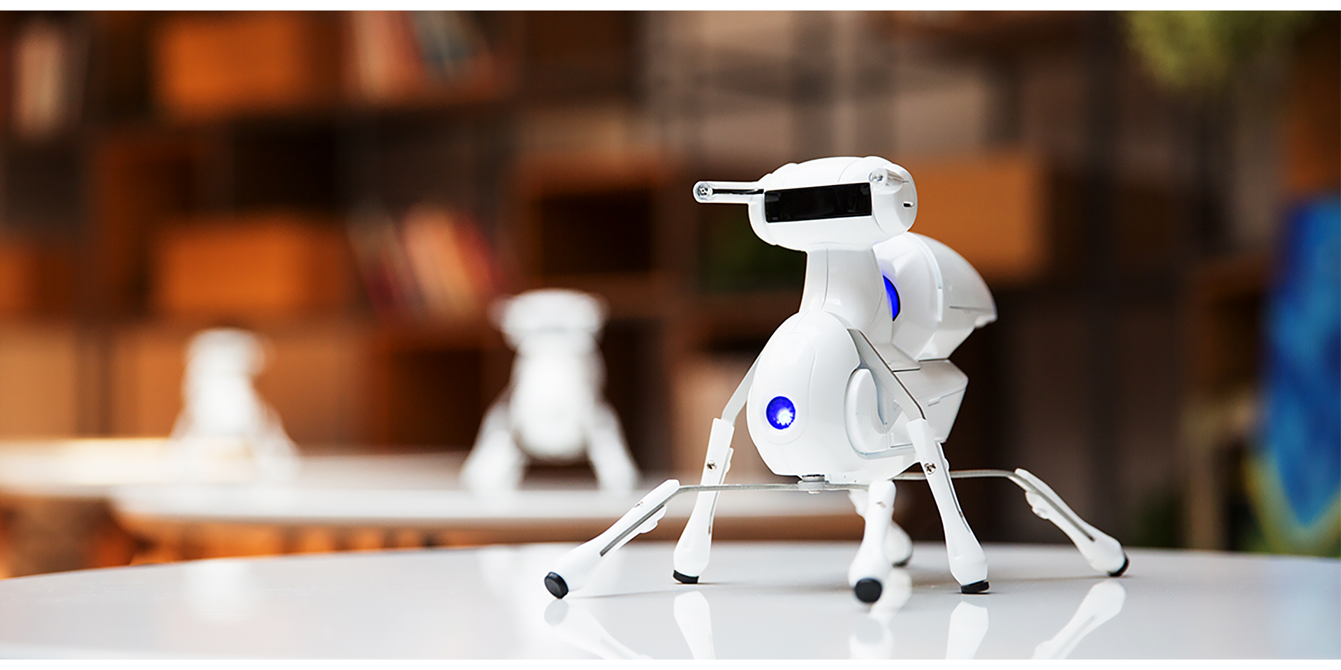 1645683557125716.png 1.png